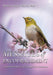 Messages of Encouragement: Inspirational Stories of Triumph Over Challenges by Pauline Hayes Tonsil