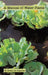 A Manual of Water Plants by W. Vivian De Thabrew