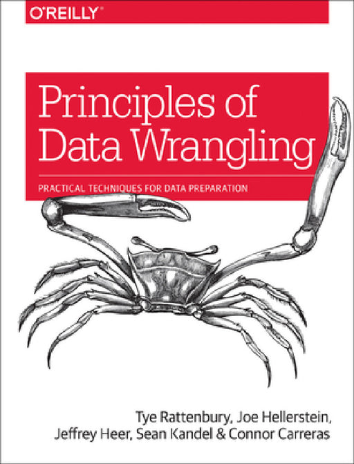 Principles of Data Wrangling: Practical Techniques for Data Preparation by Tye Rattenbury, Joseph M. Hellerstein, Jeffrey Heer