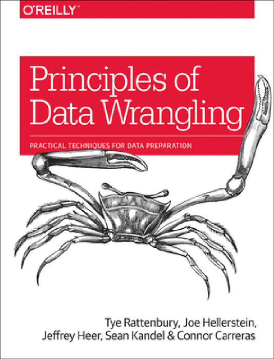 Principles of Data Wrangling: Practical Techniques for Data Preparation by Tye Rattenbury, Joseph M. Hellerstein, Jeffrey Heer