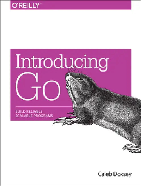 Introducing Go: Build Reliable, Scalable Programs by Caleb Doxsey