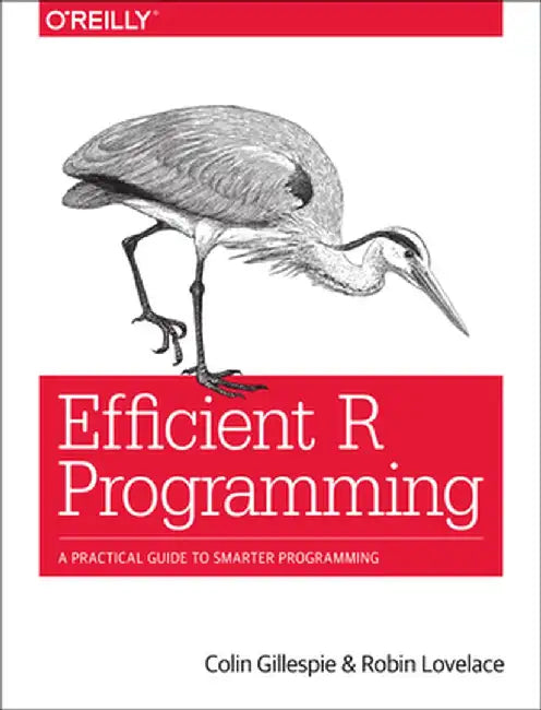 Efficient R Programming: A Practical Guide to Smarter Programming by Colin Gillespie
