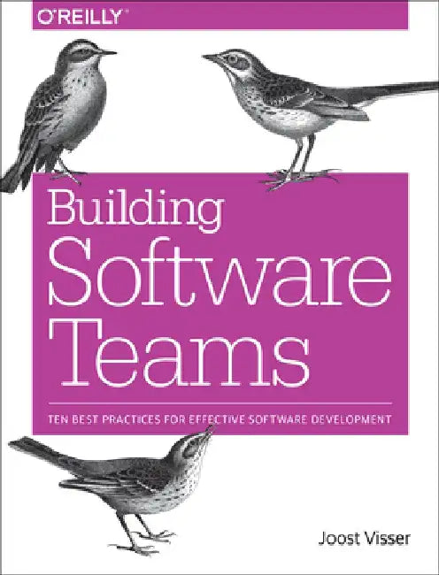 Building Software Teams: Ten Best Practices for Effective Software Development by Joost Visser