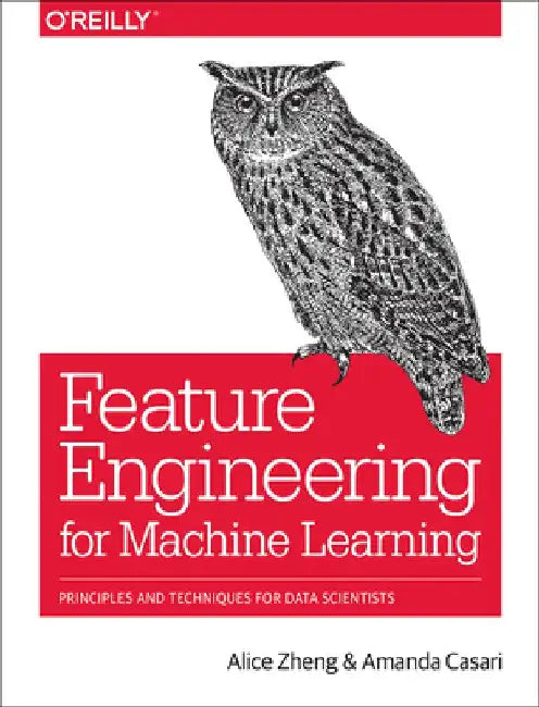 Feature Engineering for Machine Learning Models: Principles and Techniques for Data Scientists by Alice Zheng