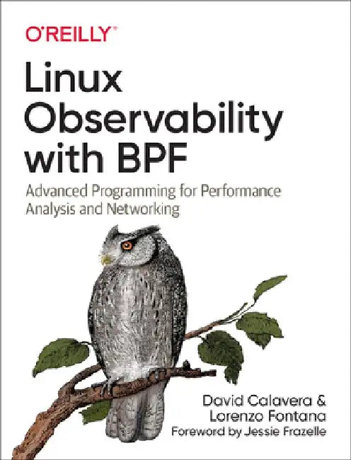 Linux Observability with Bpf: Advanced Programming for Performance Analysis and Networking by David Calavera