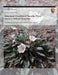 Annotated Checklist of Vascular Flora: Dinosaur National Monument by National Park Service