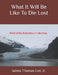 What It Will Be Like To Die Lost by James Thomas, Jr. Lee
