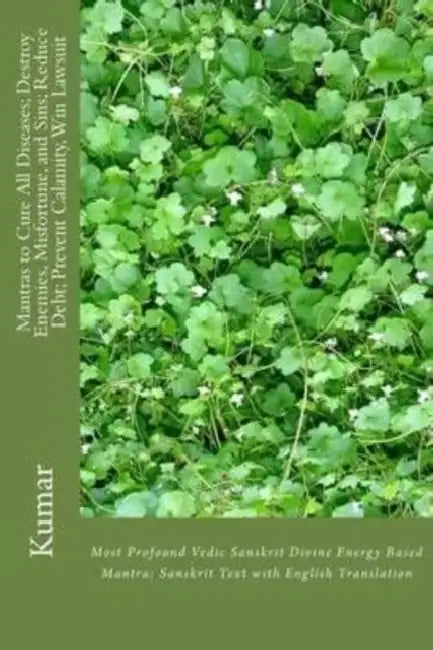 Mantras to Cure All Diseases; Destroy Enemies, Misfortune, and Sins; Reduce Debt; Prevent Calamity, Win Lawsuit: Most Profound Vedic Sanskrit Divine E by Kumar