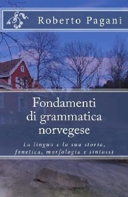 Fondamenti di grammatica norvegese: La lingua e la sua storia, fonetica, morfologia e sintassi by Pagani, Roberto
