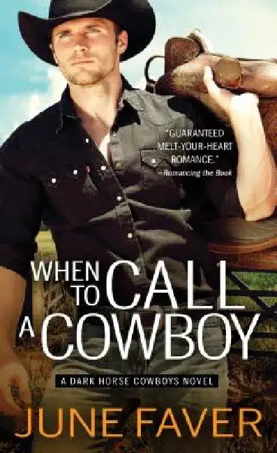 Full Throttle Cowboy by June Faver