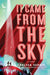 It Came from the Sky by Chelsea Sedoti