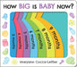 How Big Is Baby Now? by Maryann Cocca-Leffler