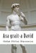 Asa Grait-A David by Stefan Stelian Diaconescu