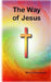 The Way of Jesus by Mervyn George-Bryan