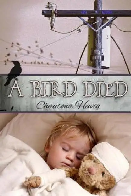 A Bird Died by Chautona Havig