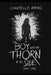 The Boy with the Thorn in His Side - Part One by Chantelle Atkins
