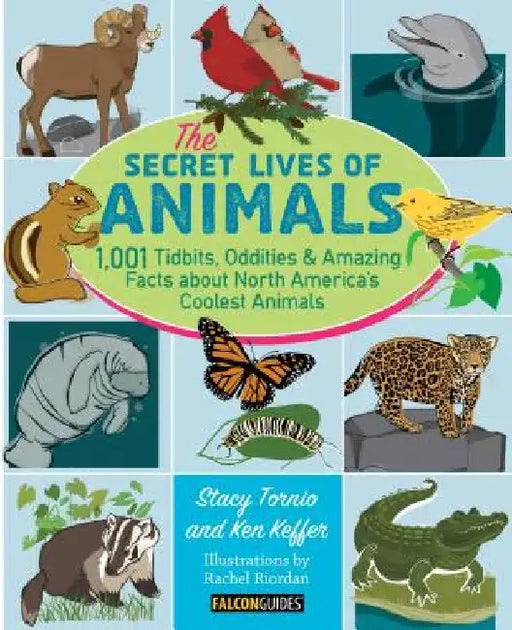 The Secret Lives of Animals by Stacy Tornio