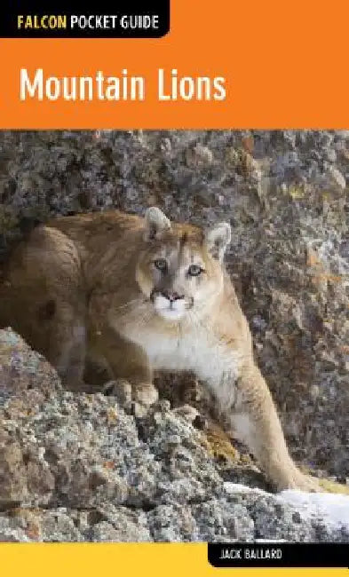 Mountain Lions by Jack Ballard