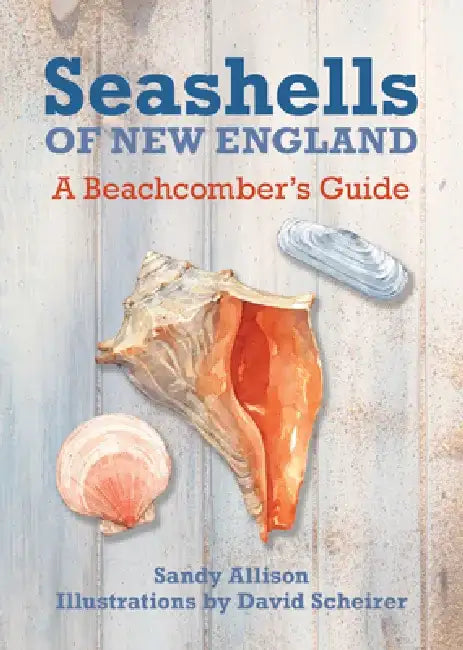 Seashells of New England: A Beachcomber's Guide by David Scheirer