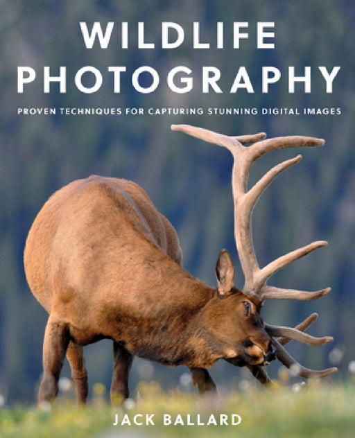 Wildlife Photography: Proven Techniques for Capturing Stunning Digital Images by Jack Ballard
