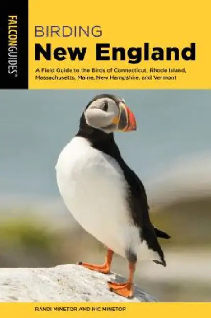 Birding New England by Minetor, Randi