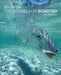 Fly Fishing for Bonefish by Dick Brown