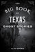 The Big Book of Texas Ghost Stories by Alan Brown