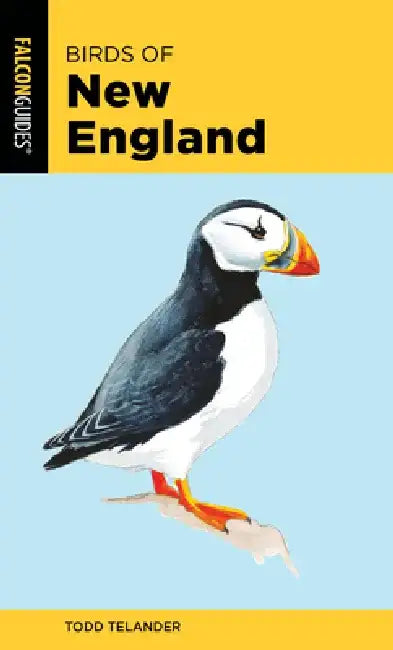 Birds of New England by Todd Telander
