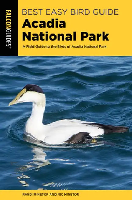 Best Easy Bird Guide Acadia National Park by Randi Minetor