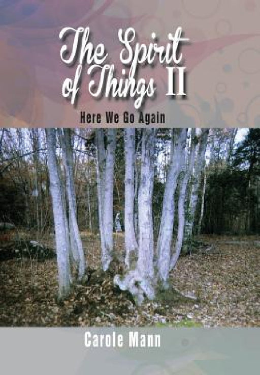 The Spirit of Things II: Here We Go Again by Carole Mann