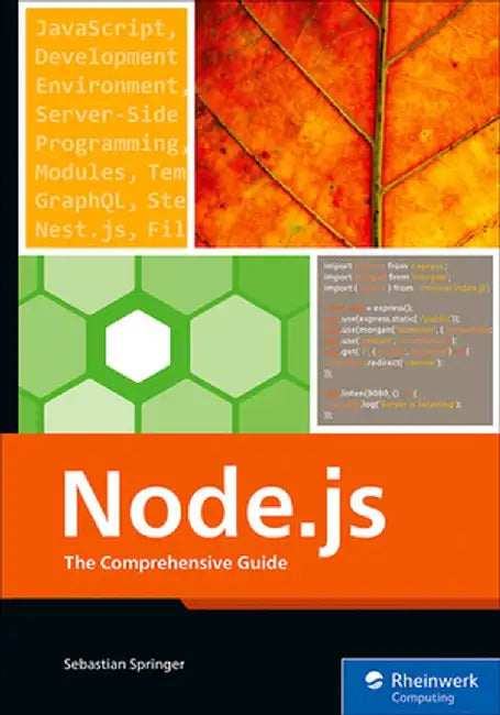 Node.Js: The Comprehensive Guide by Sebastian Springer