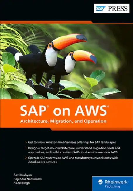 SAP on AWS: Architecture, Migration, and Operation by Ravi Kashyap