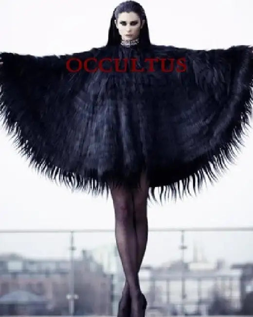Occultus by Winter Laake