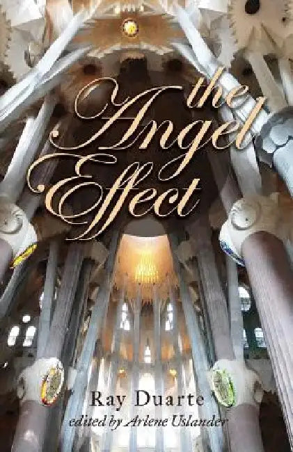 The Angel Effect: A Walk Between Raindrops by Arlene Uslander