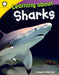Learning about Sharks by Joseph Otterman
