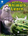 Helping Animals Learn (Grade 1) by Anne Montgomery