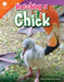 Hatching a Chick (Grade 2) by Dona Herweck Rice