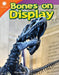 Bones on Display (Grade 2) by Elisa Jordan