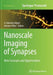 Nanoscale Imaging of Synapses: New Concepts and Opportunities by U. Valentin Nägerl