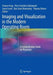 Imaging and Visualization in the Modern Operating Room: A Comprehensive Guide for Physicians by Yuman Fong