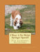 I Want A Pet Welsh Springer Spaniel: Fun Learning Activities by Gail Forsyth