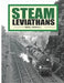 Steam Leviathans: British Railways steam - the final years by Nigel William Kendall
