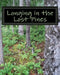 Longing in the Lost Pines by Karen Horak