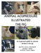 Animal Acupressure Illustrated The Pig by Deanna S. Smith