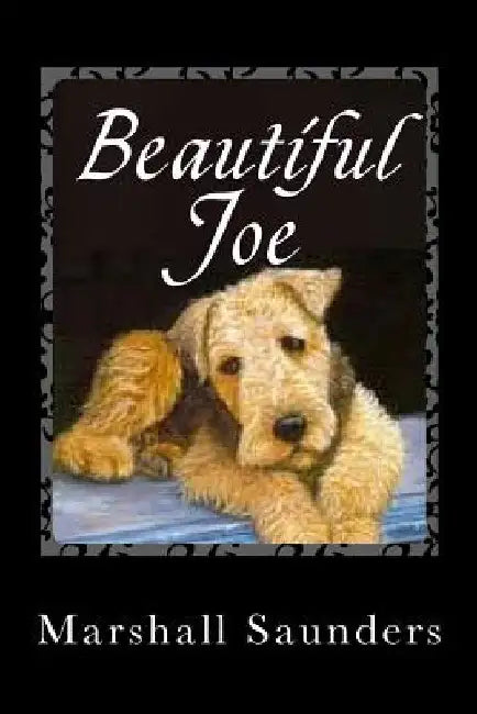 Beautiful Joe by Marshall Saunders