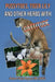 Pussytoes, Tiger Lily and other Herbs with Cattitude by Robert Dale Rogers Rh