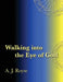 Walking Into the Eye of God by A. J. Royse