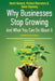 Why Businesses Stop Growing: & What You can Do About It by Brent Howard