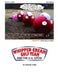 WHIPPED CREAM GOLF TEAM and the U.4. OPEN!: The art of golf balls playing golf. by Lennard S. James