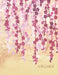 Sakura by Jennifer Cox